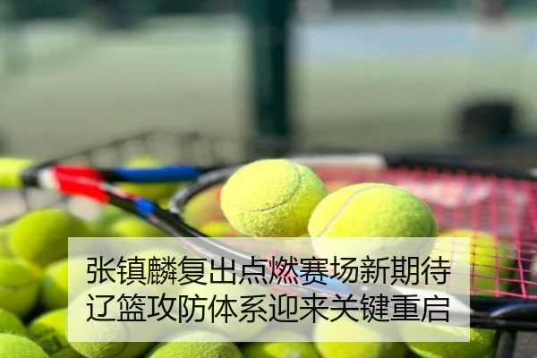 张镇麟复出点燃赛场新期待 辽篮攻防体系迎来关键重启