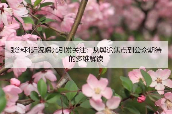 张继科近况曝光引发关注：从舆论焦点到公众期待的多维解读